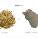 biomassen-test-gartenbau-saatgut-3 biomassen-test-gartenbau-saatgut-3