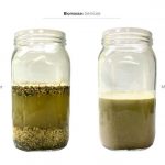 biomassen-test-gartenbau-saatgut-4 biomassen-test-gartenbau-saatgut-4