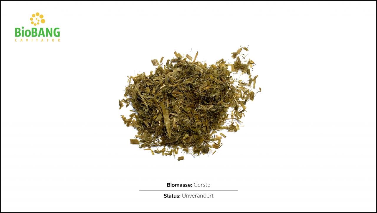 biomassen-test-gerste-1