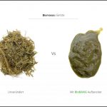 biomassen-test-gerste-3