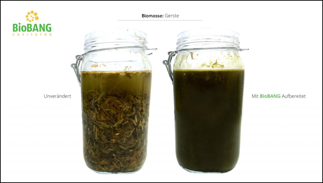 biomassen-test-gerste-4