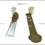 biomassen-test-gerste-7