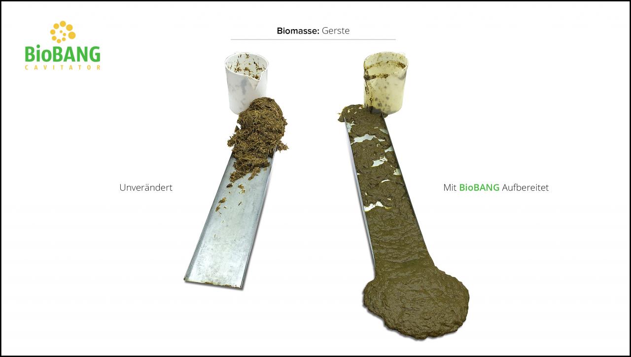 biomassen-test-gerste-7