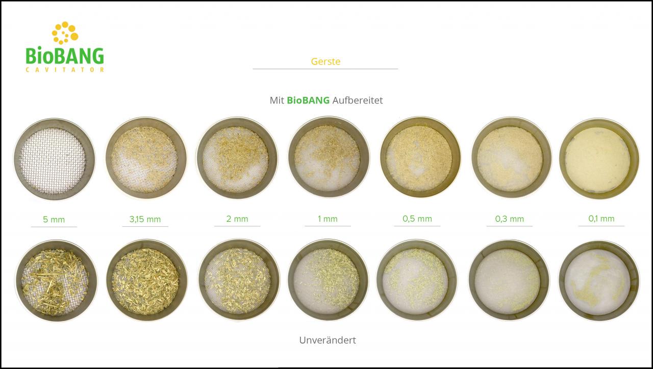 biomassen-test-gerste-8