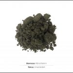 biomassen-test-klarschlamm-1