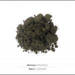 biomassen-test-klarschlamm-1 biomassen-test-klarschlamm-1