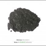 biomassen-test-klarschlamm-2 biomassen-test-klarschlamm-2
