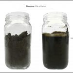 biomassen-test-klarschlamm-4