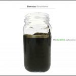 biomassen-test-klarschlamm-6