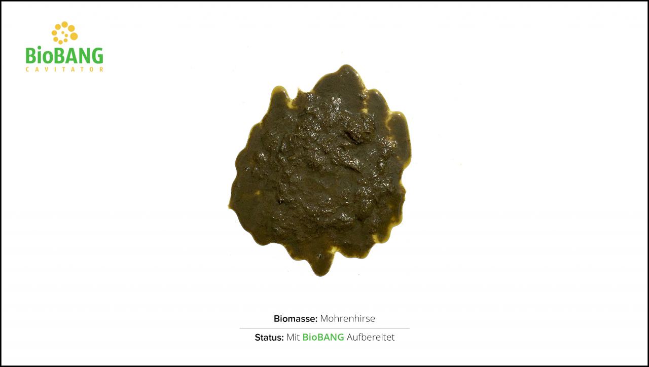 biomassen-test-mohrenhirse-2