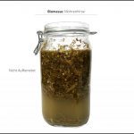 biomassen-test-mohrenhirse-5