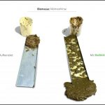 biomassen-test-mohrenhirse-7