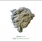 biomassen-test-nudeln-2 biomassen-test-nudeln-2