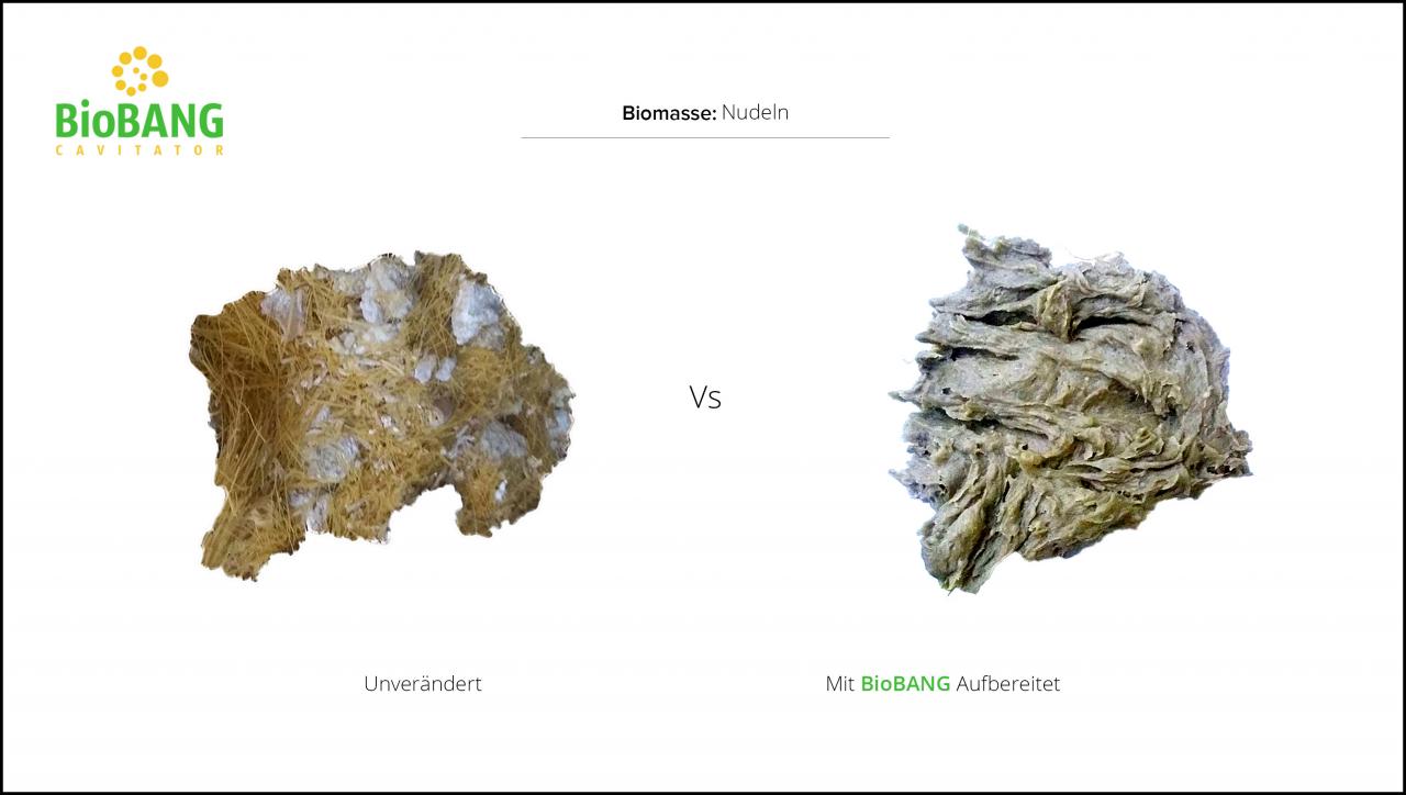 biomassen-test-nudeln-3 biomassen-test-nudeln-3