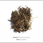 biomassen-test--rinderdung-und-stroh_1