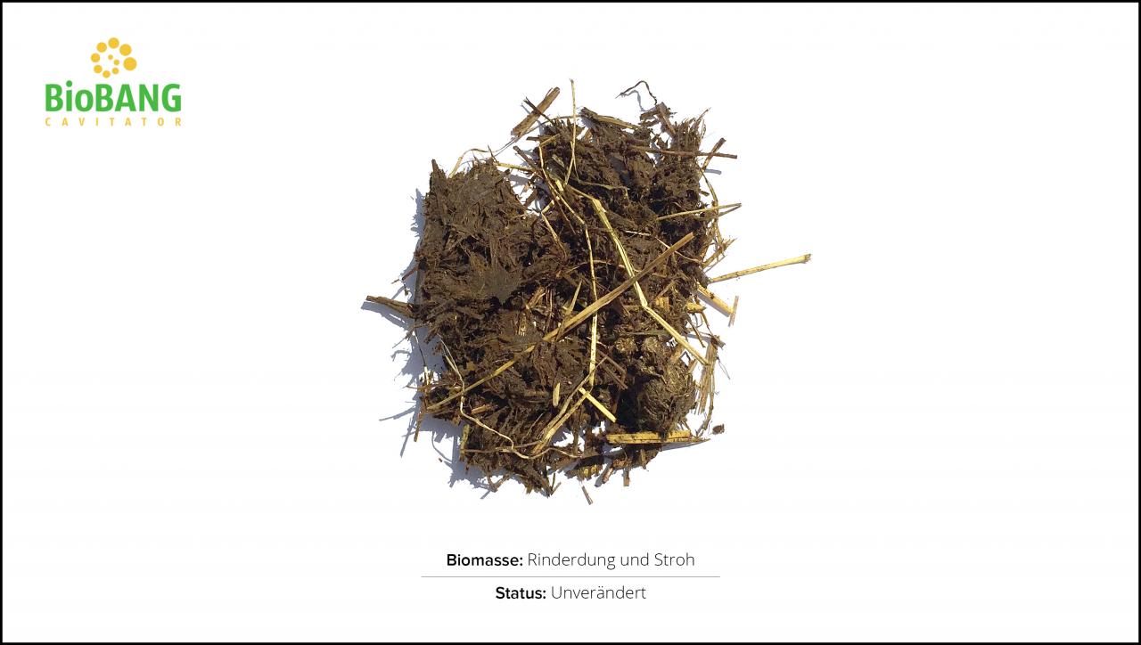 biomassen-test--rinderdung-und-stroh_1 biomassen-test--rinderdung-und-stroh_1