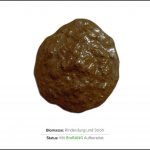 biomassen-test--rinderdung-und-stroh_2 biomassen-test--rinderdung-und-stroh_2