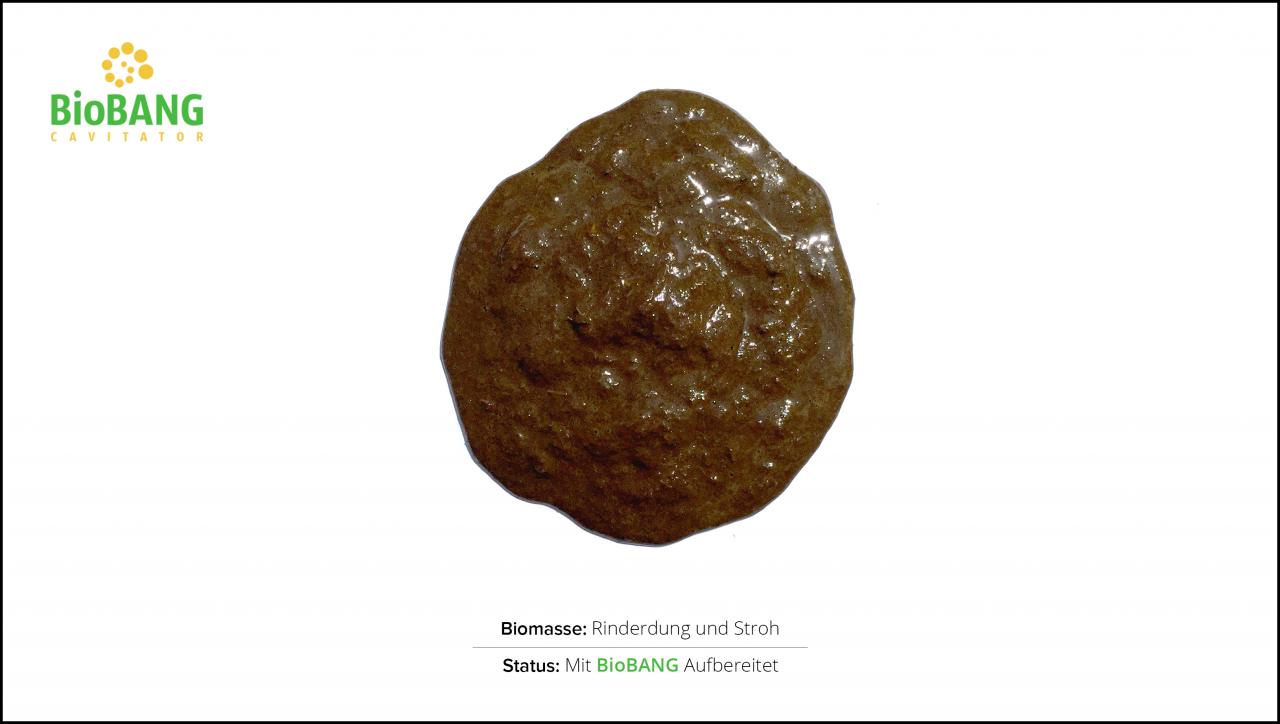 biomassen-test--rinderdung-und-stroh_2 biomassen-test--rinderdung-und-stroh_2