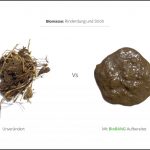 biomassen-test--rinderdung-und-stroh_3 biomassen-test--rinderdung-und-stroh_3