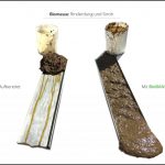biomassen-test--rinderdung-und-stroh_7 biomassen-test--rinderdung-und-stroh_7