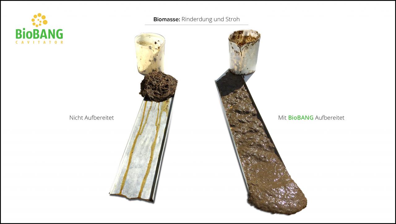 biomassen-test--rinderdung-und-stroh_7 biomassen-test--rinderdung-und-stroh_7
