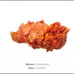 biomassen-test-tomatenschalen-1