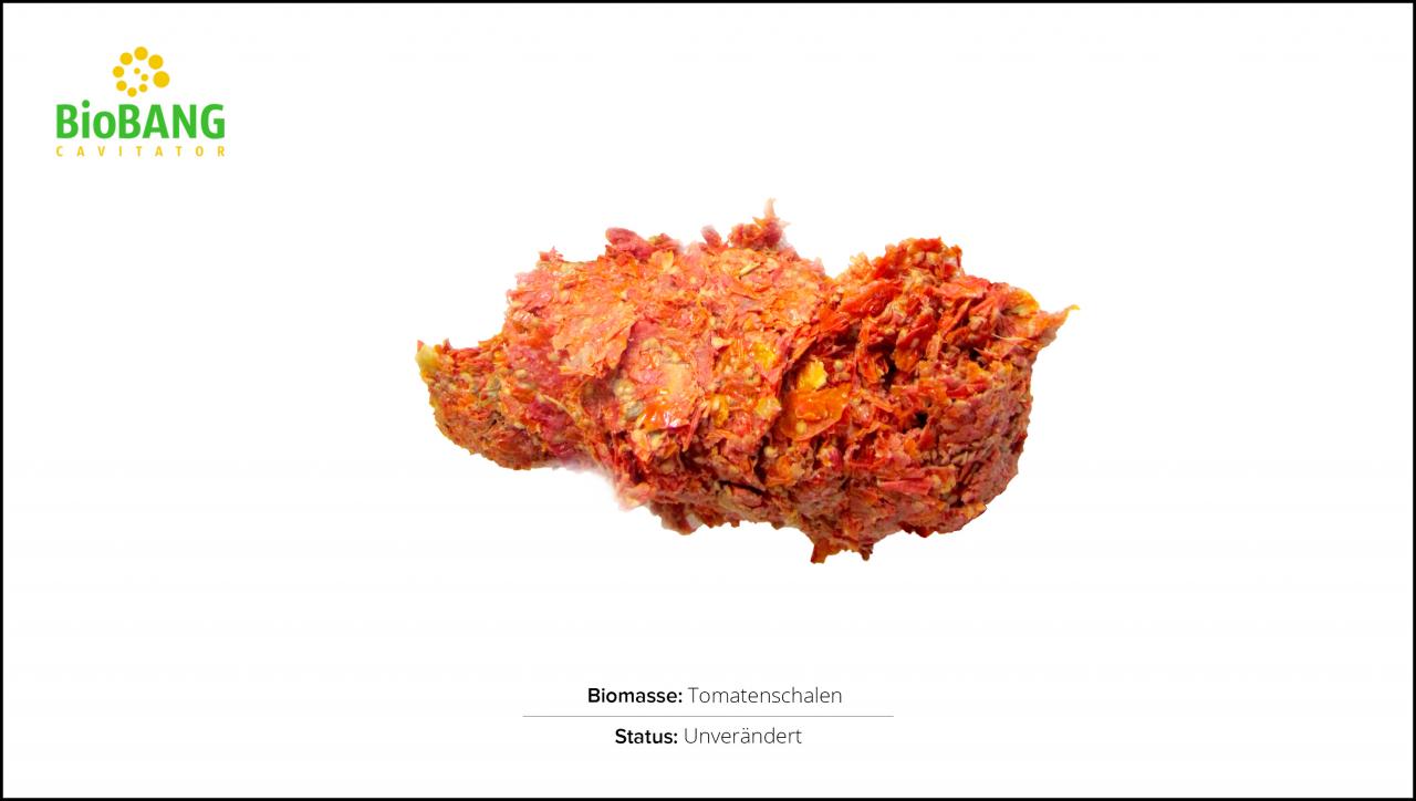 biomassen-test-tomatenschalen-1