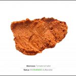 biomassen-test-tomatenschalen-2