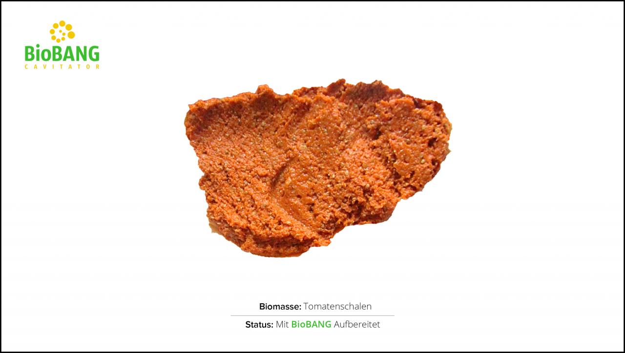 biomassen-test-tomatenschalen-2