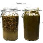 biomassen-test-triticale_04 biomassen-test-triticale_04