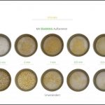 biomassen-test-triticale_08 biomassen-test-triticale_08
