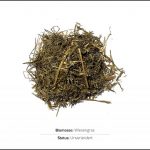 biomassen-test-wiesengras_1