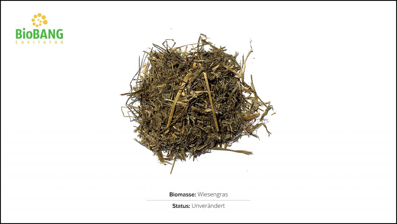 biomassen-test-wiesengras_1