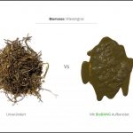 biomassen-test-wiesengras_3