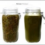 biomassen-test-wiesengras_4