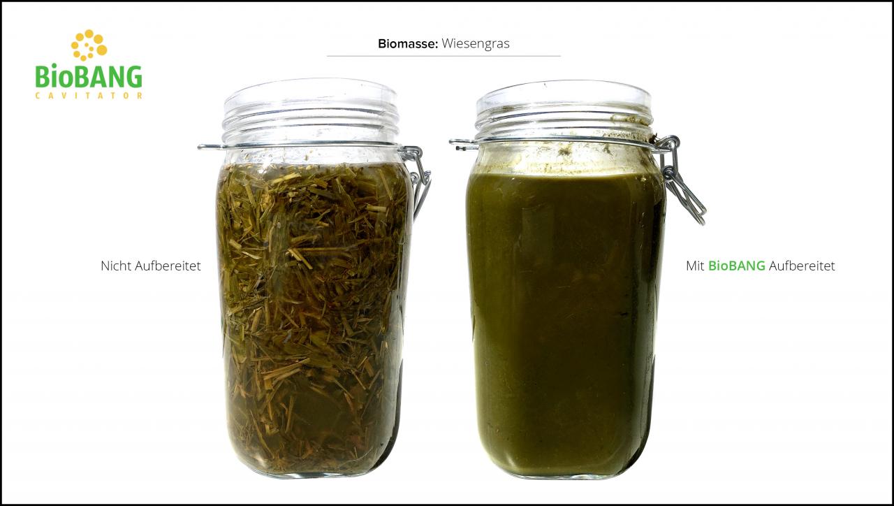 biomassen-test-wiesengras_4