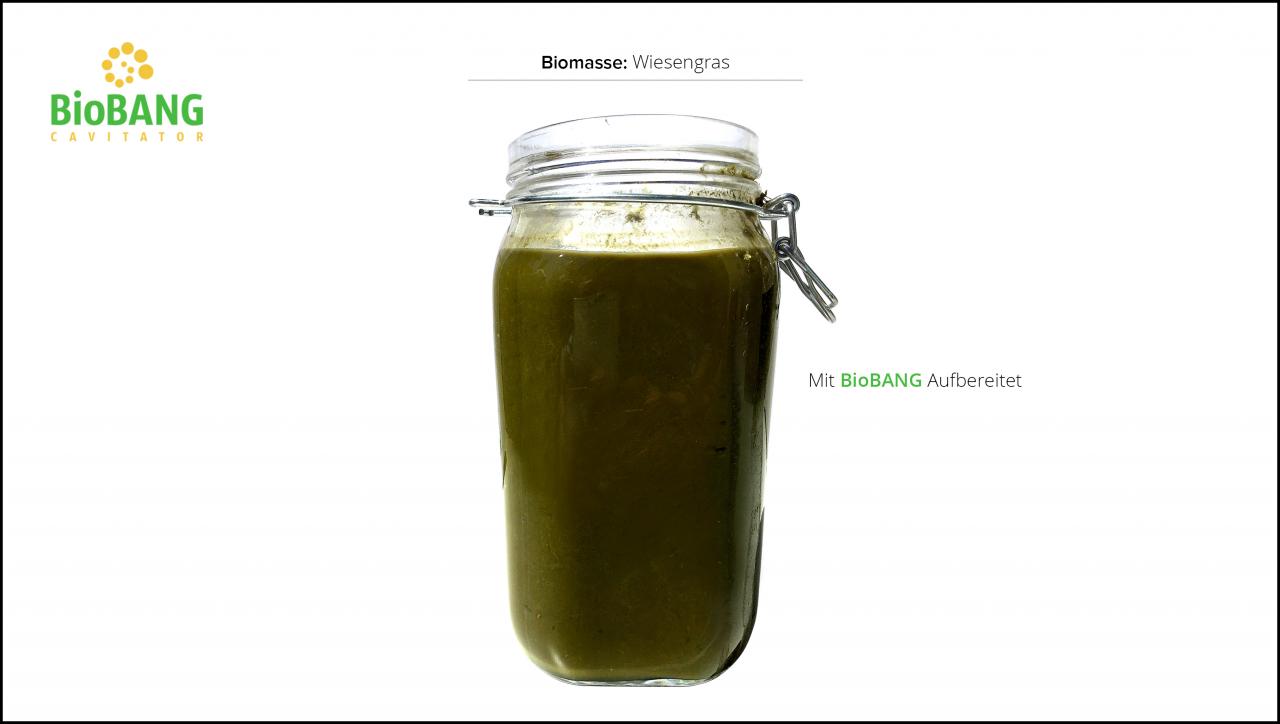 biomassen-test-wiesengras_6