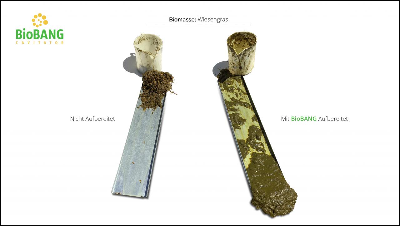 biomassen-test-wiesengras_7