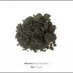 biomasses-test-boue epuration-1