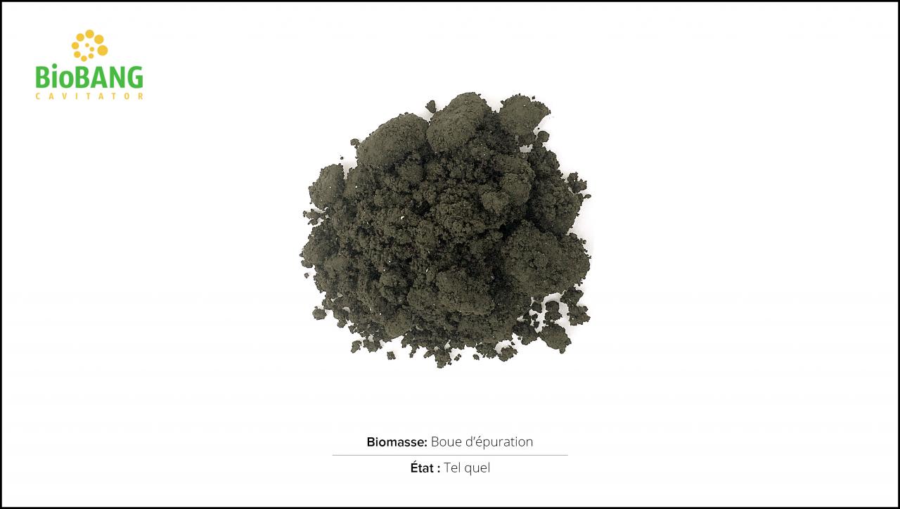 biomasses-test-boue epuration-1