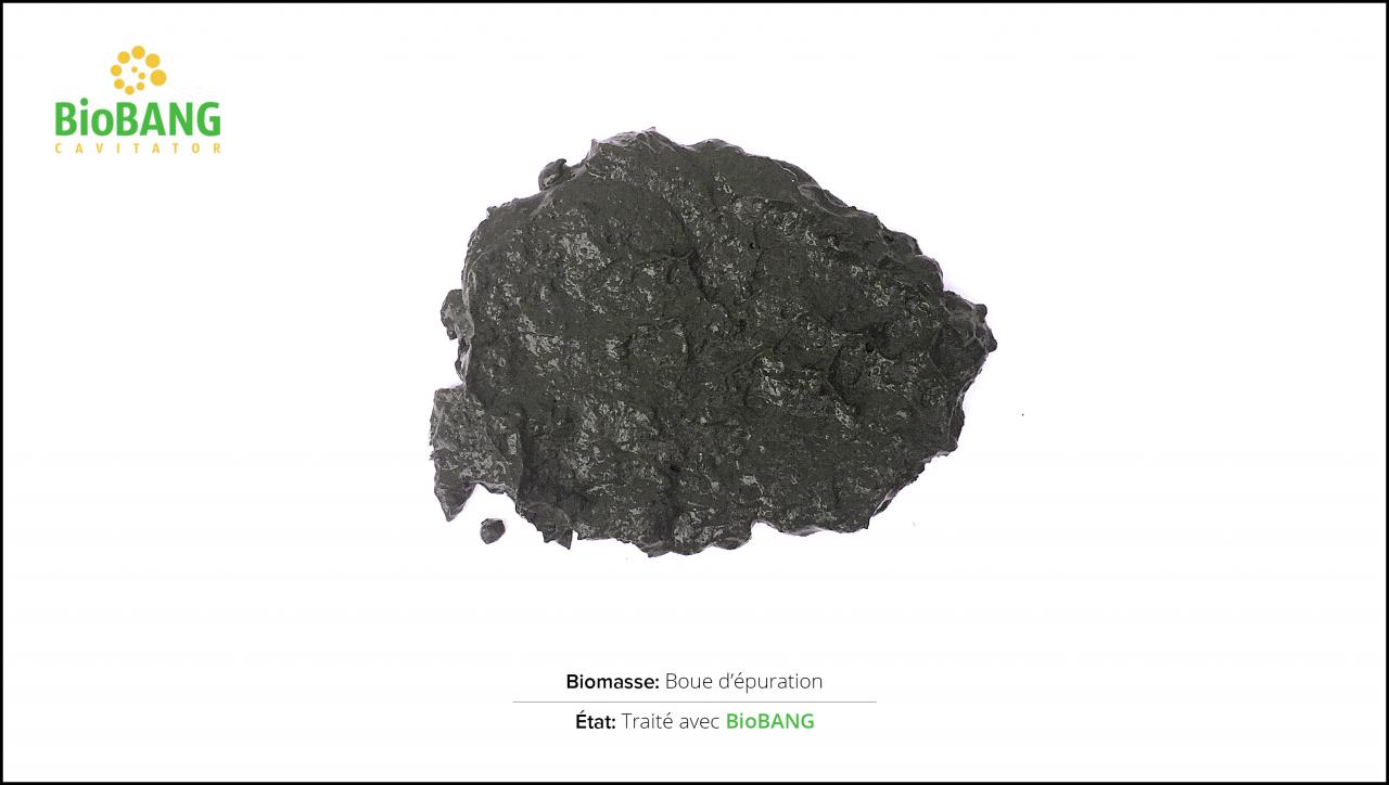 biomasses-test-boue epuration-2