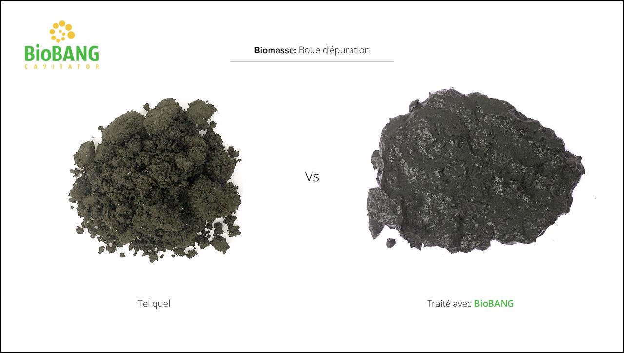 biomasses-test-boue epuration-3
