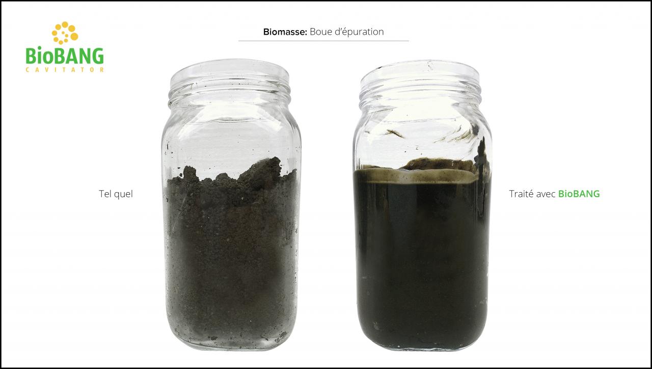 biomasses-test-boue epuration-4