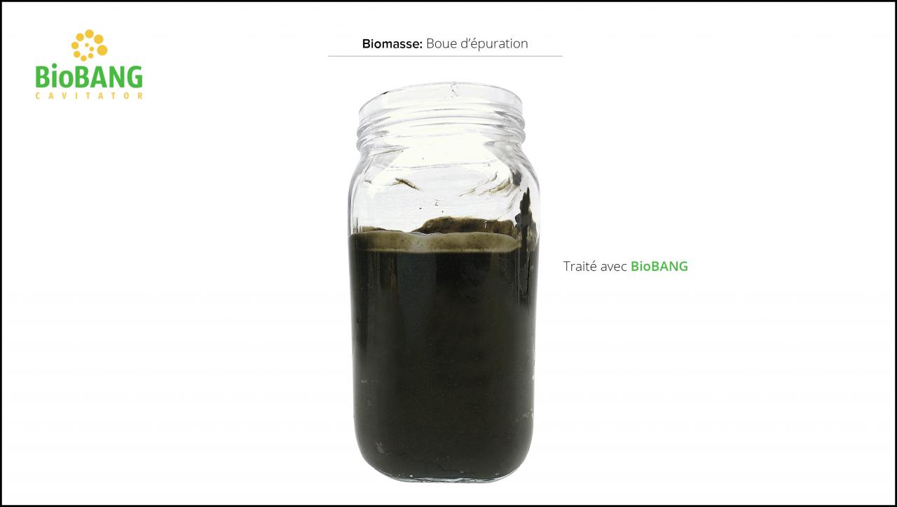 biomasses-test-boue epuration-6