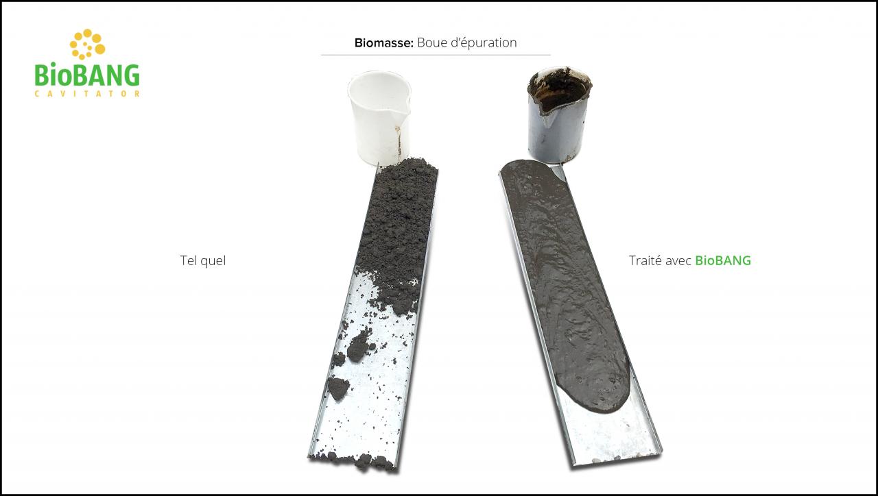 biomasses-test-boue epuration-7