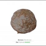 biomasses-test-fibre-de-coco-2 biomasses-test-fibre-de-coco-2