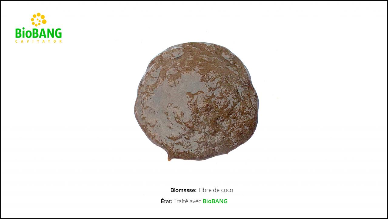 biomasses-test-fibre-de-coco-2 biomasses-test-fibre-de-coco-2