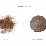 biomasses-test-fibre-de-coco-3 biomasses-test-fibre-de-coco-3