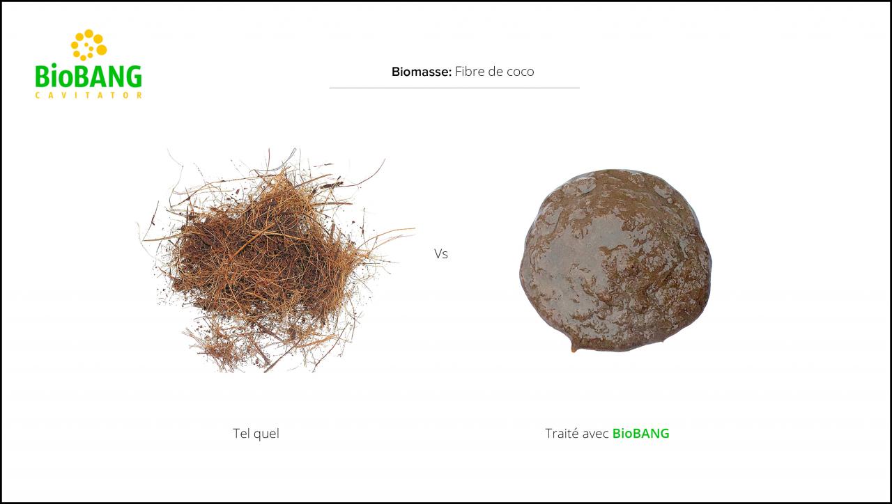 biomasses-test-fibre-de-coco-3 biomasses-test-fibre-de-coco-3