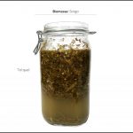biomasses-test-sorgo-5 biomasses-test-sorgo-5